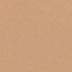 Ковролин Radici Nexus Beige 2406 фото 1 | FLOORDEALER